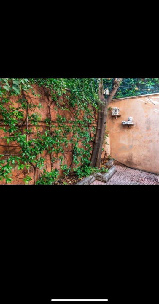 Olimpico'S Apartment Rom Exterior foto